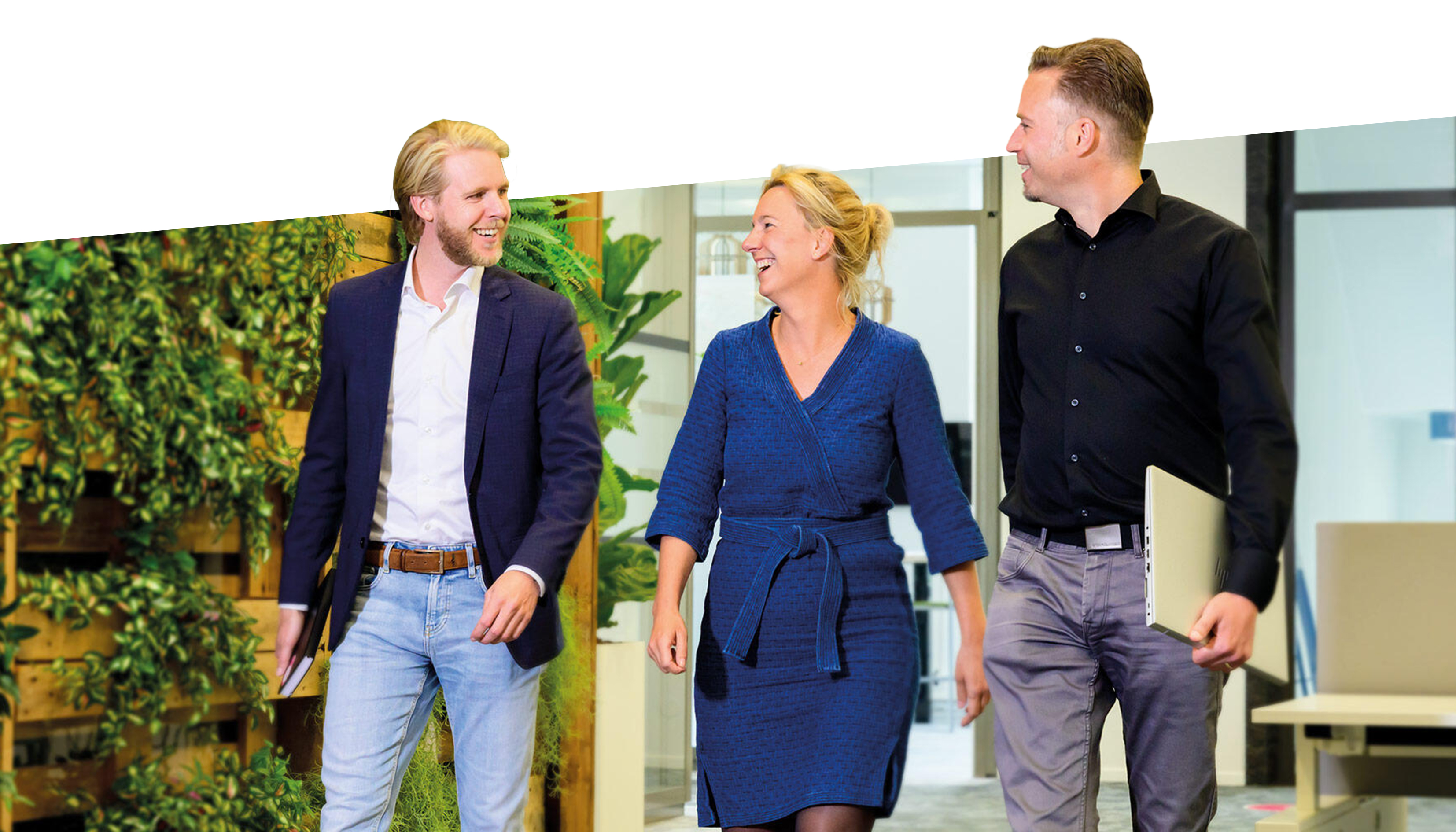 Sales Director